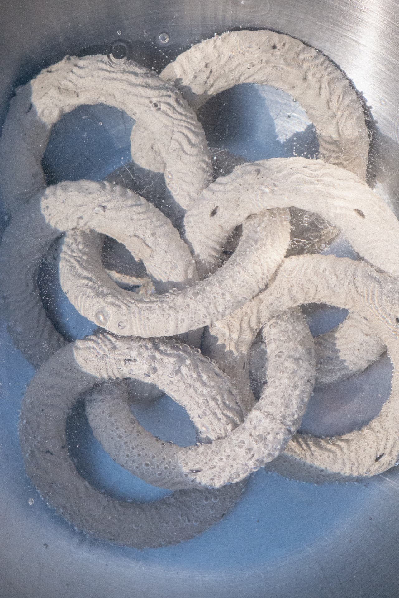 REEF RESEARCH — Vertical Oyster Gardens, image 1