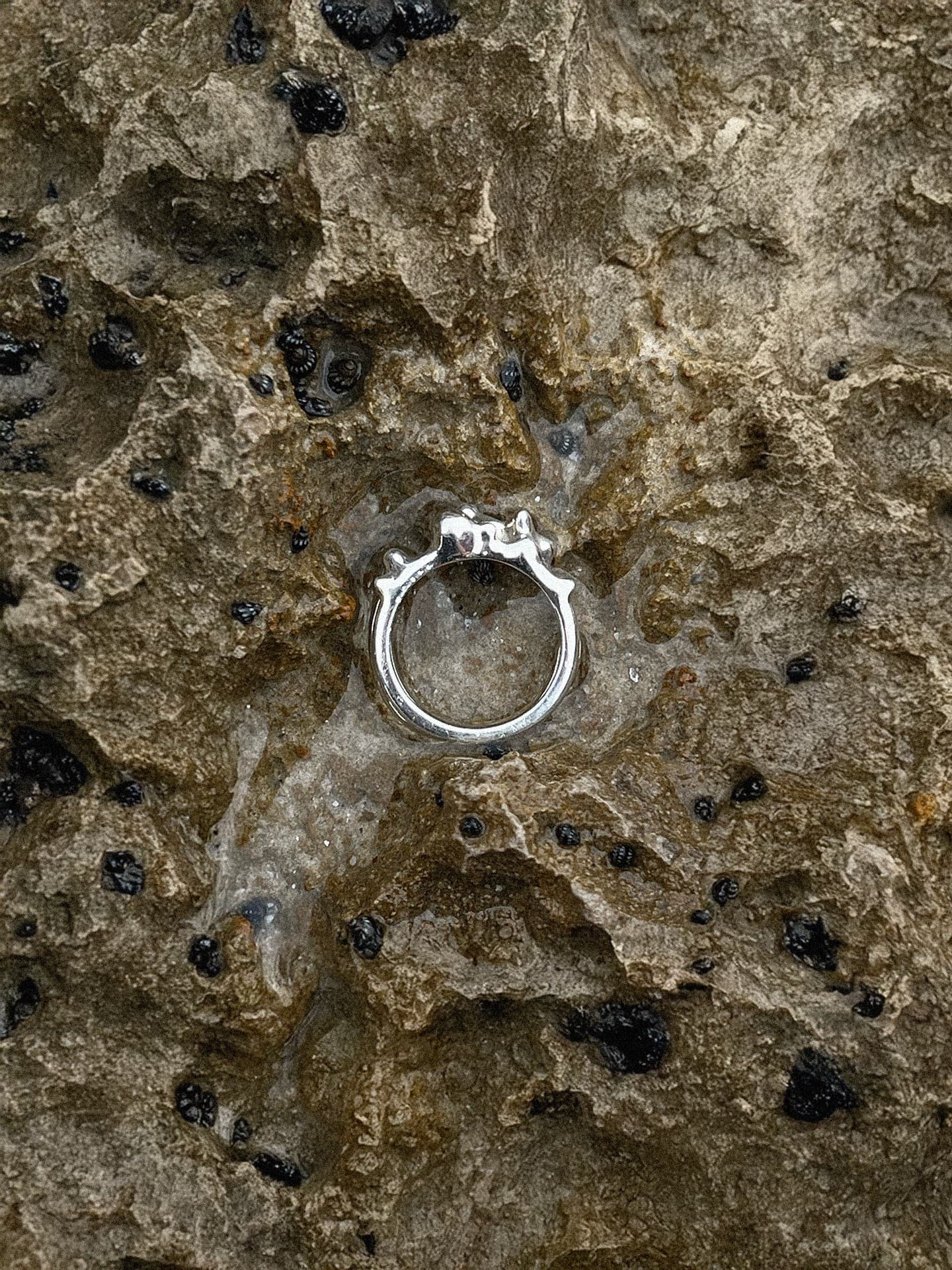 SETTLEMENT SERIES — hero image