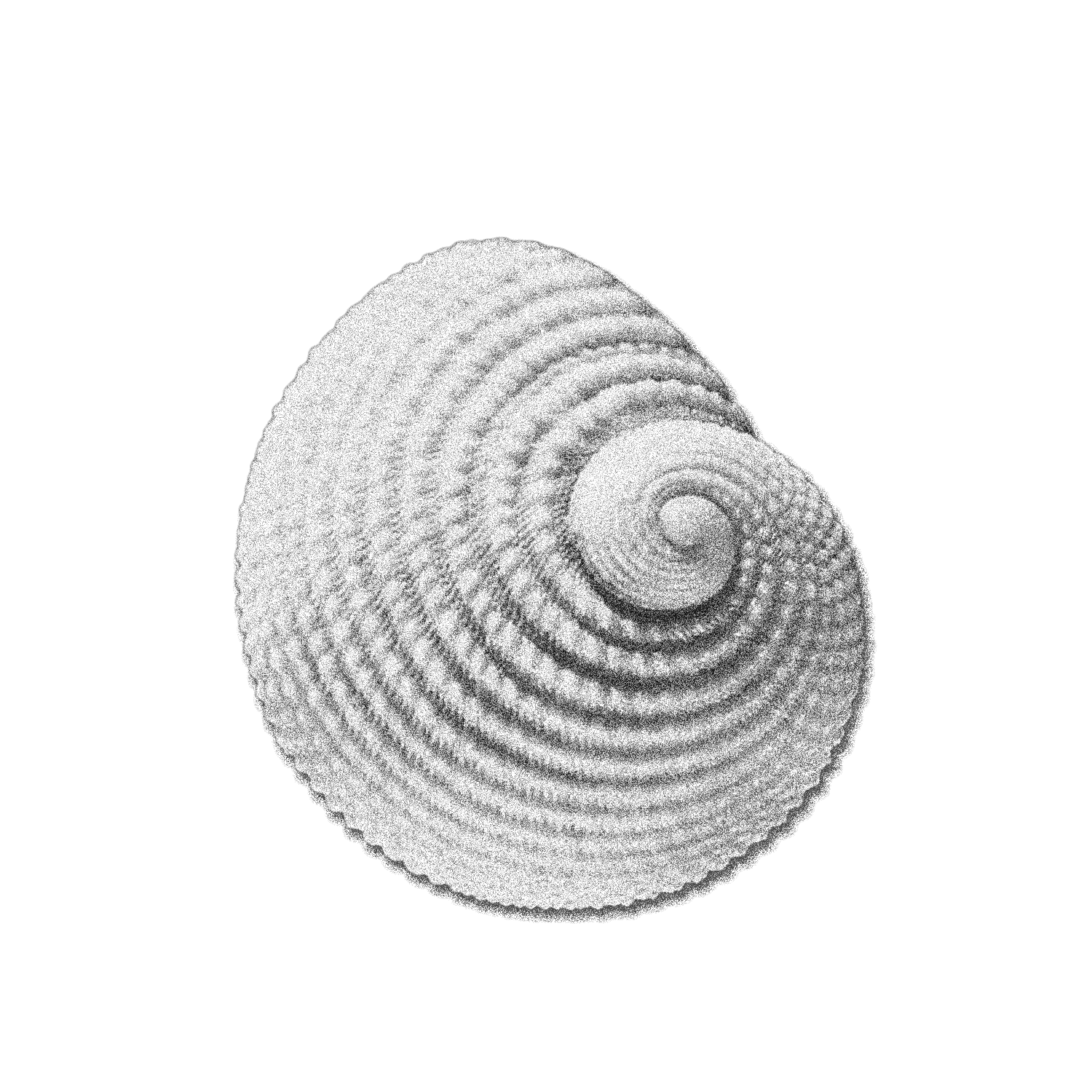 Shell