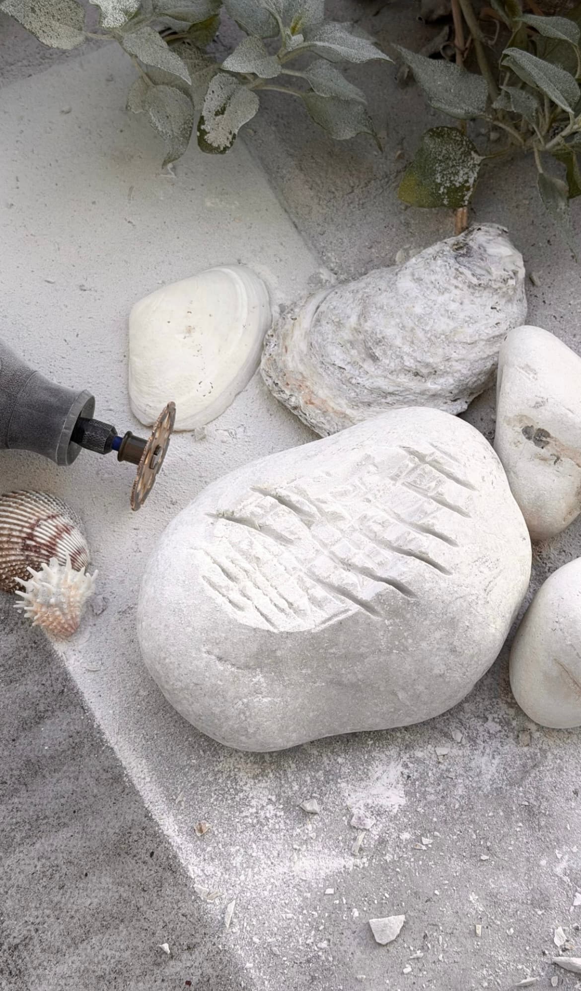 A stone form being carved beside shells