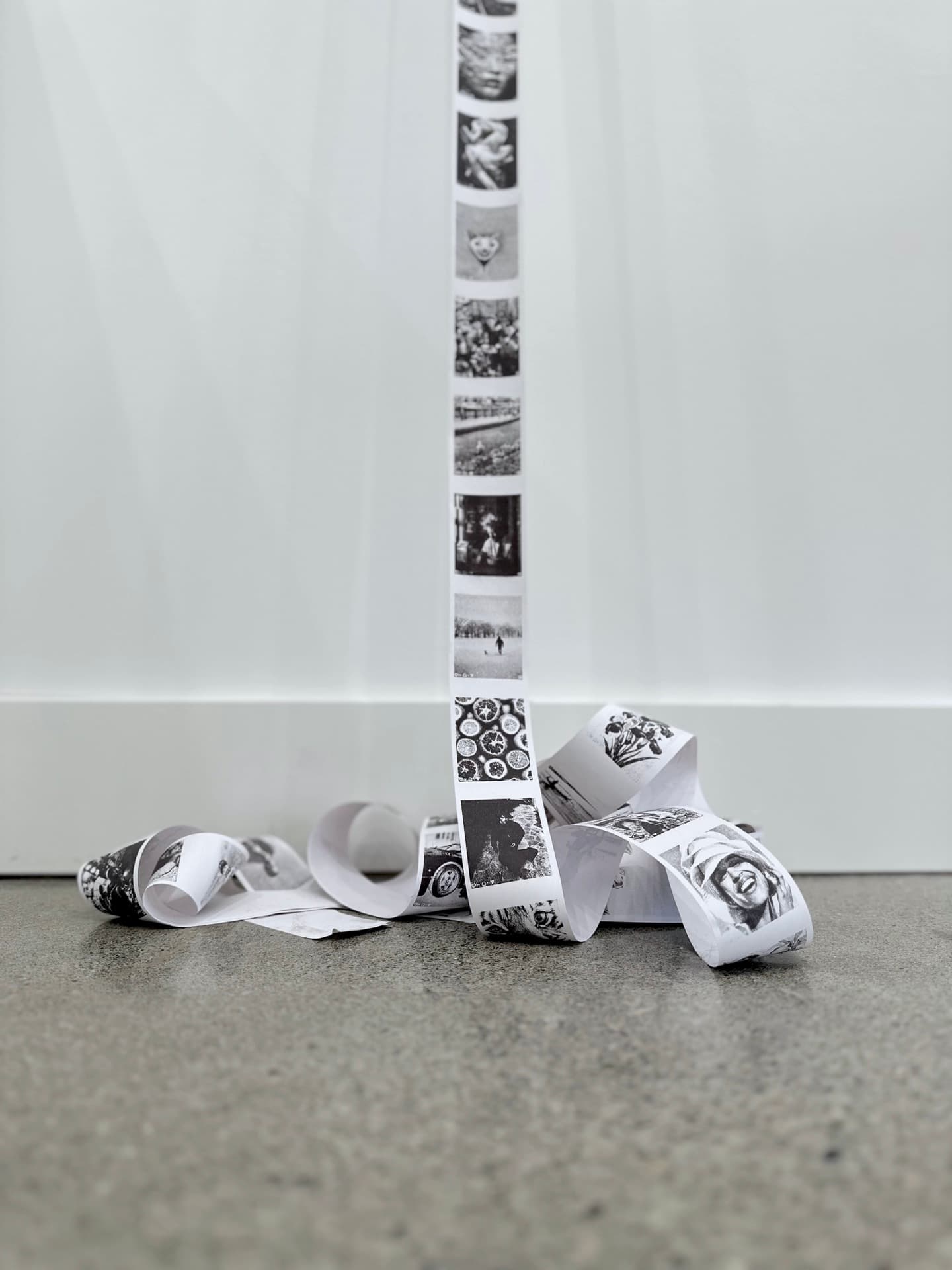 THE SCROLL — Project Information, image 2