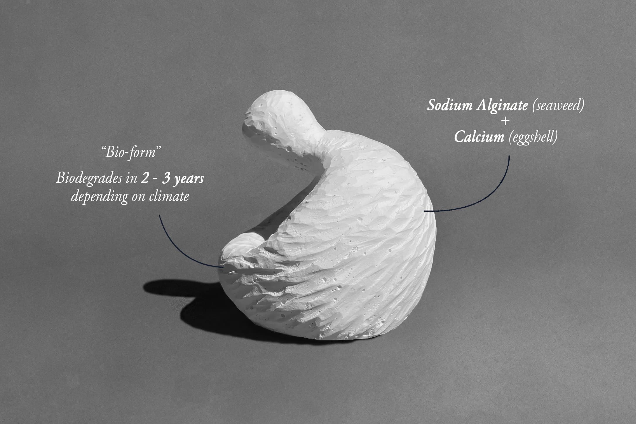 VESSELS — Thesis, image 1