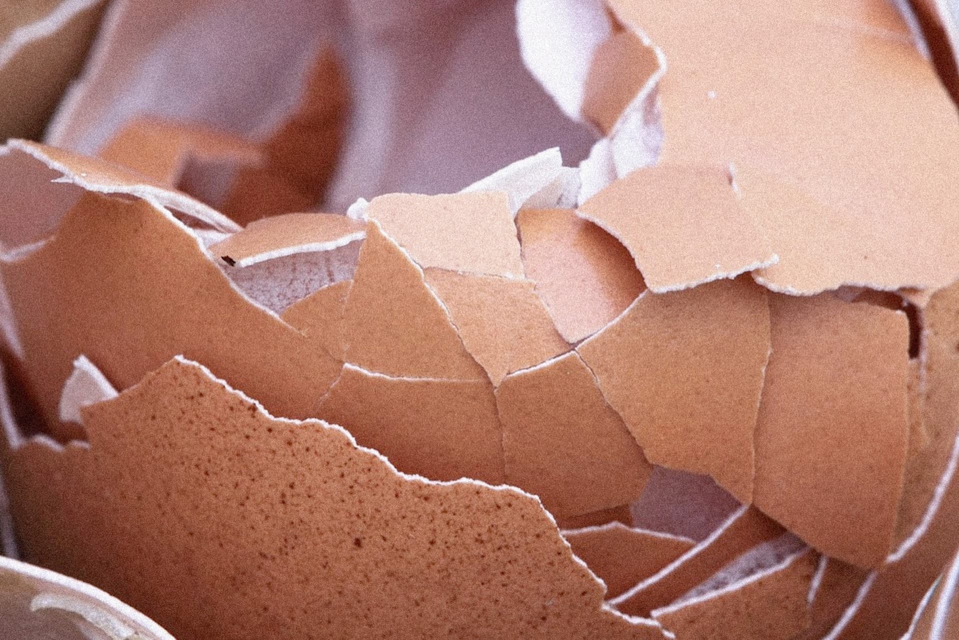 VESSELS — Thesis, image 2