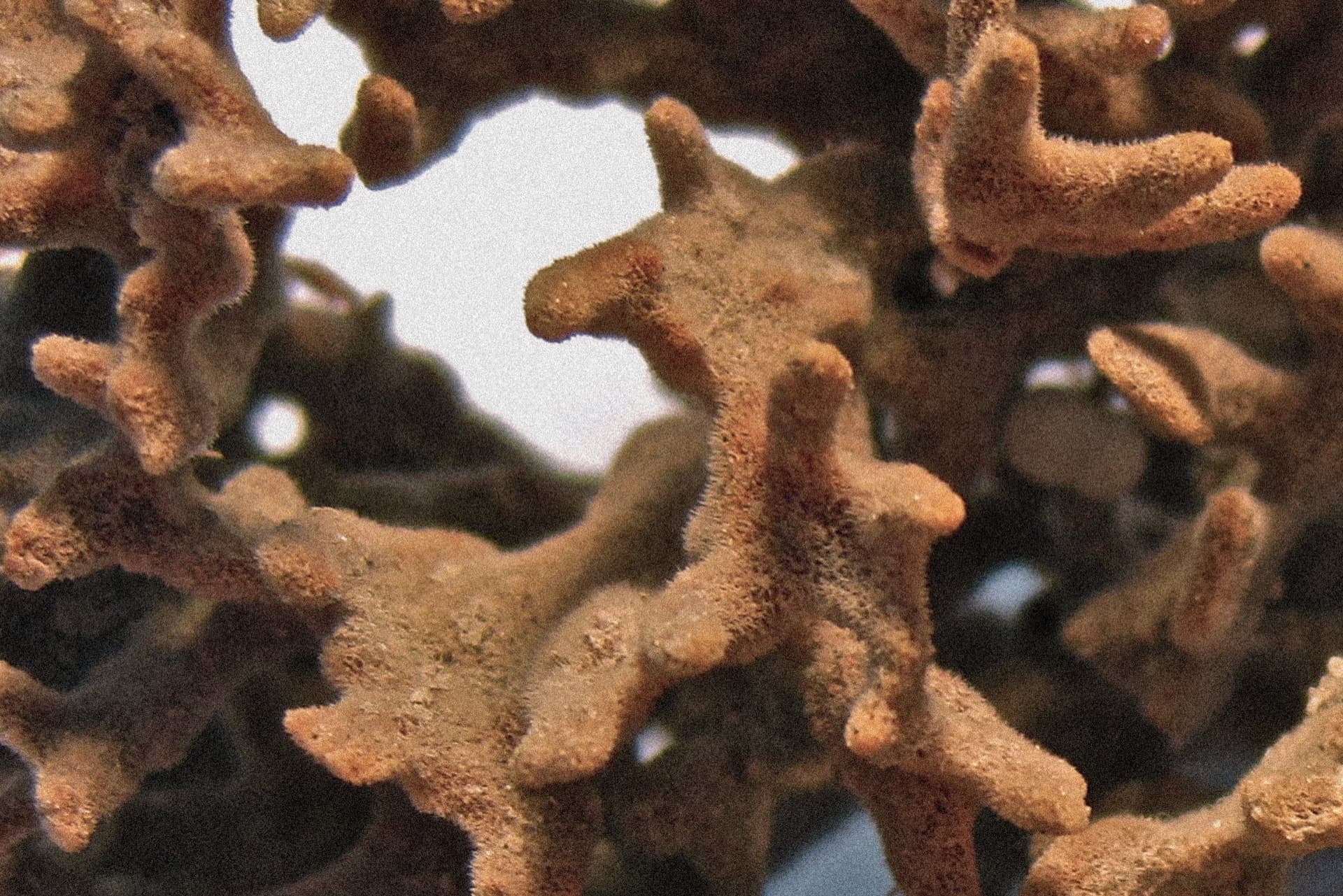 VESSELS — Thesis, image 3