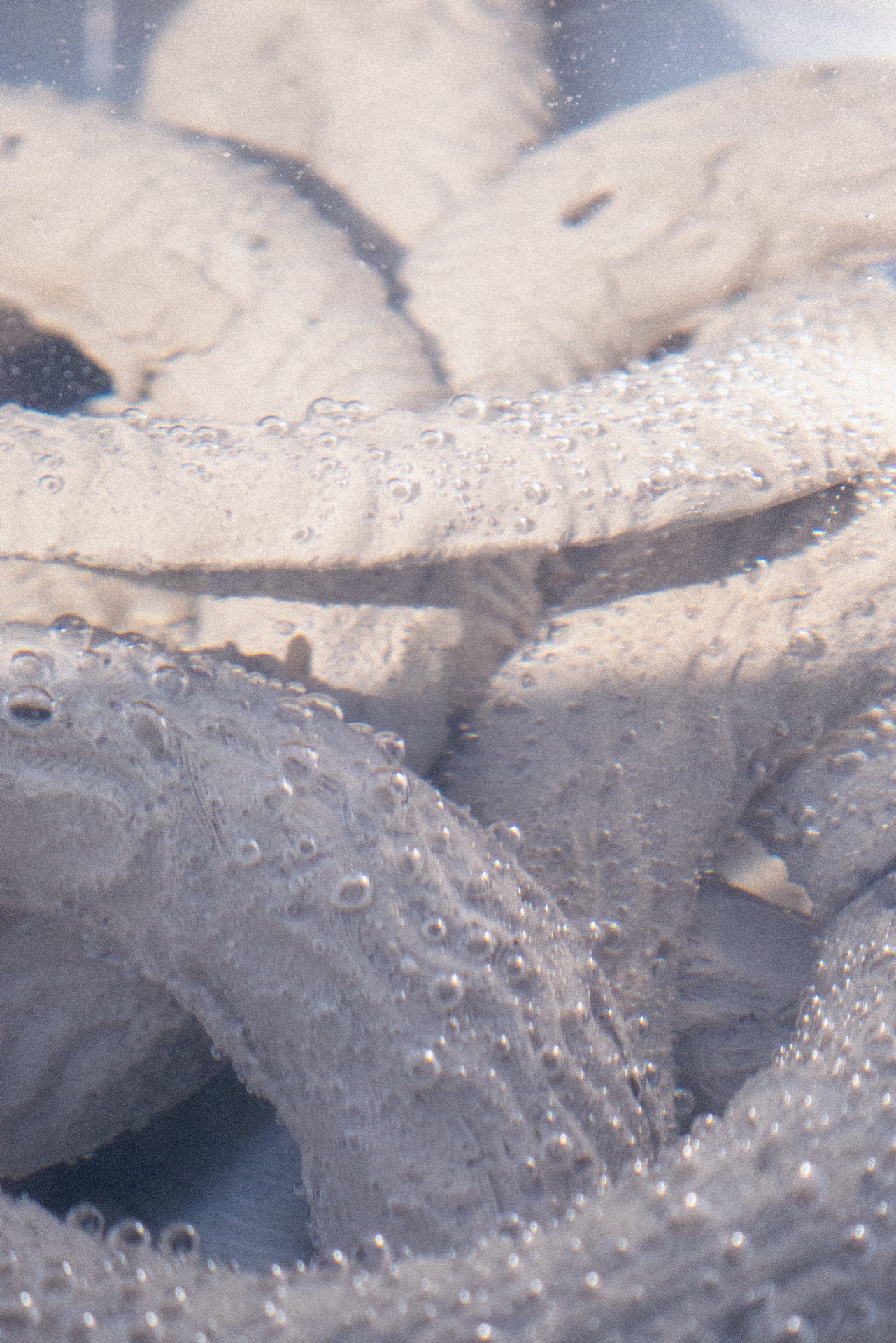 REEF RESEARCH — detail